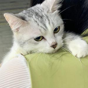 妈妈がだけの母さん歌词孕妇
